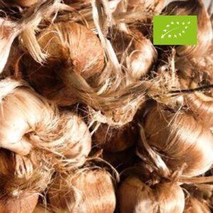 bulbi di zafferano biologici italiani