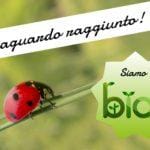 sativus diventa bio zafferano