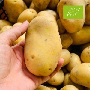 vendita patate biologiche alba langhe cuneo piemonte azienda sativus