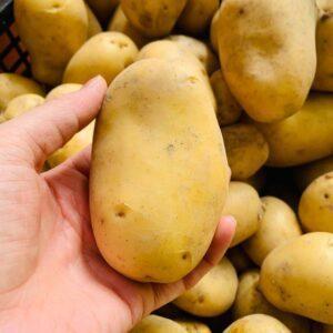 vendita patate cuneo azienda sativus