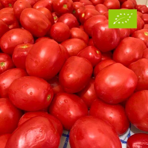 vendita pomodori da conserva biologici langhe cuneo azienda sativus