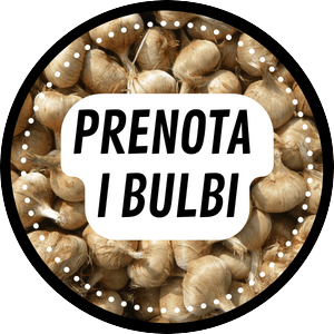 prenota bulbi zafferano italiani cuneo piemonte azienda sativus