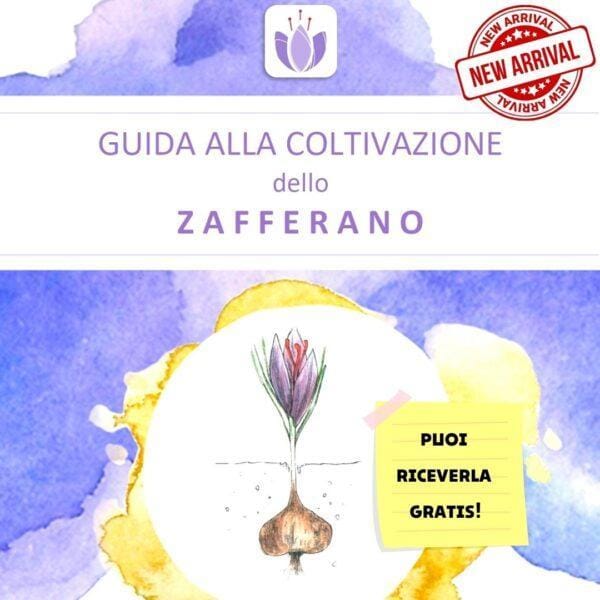 guida manuale coltivazione zafferano azienda agricola sativus