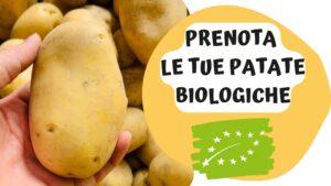 vendita-patate-biologiche-alba-langhe-cuneo-piemonte-azienda-agricola-sativus